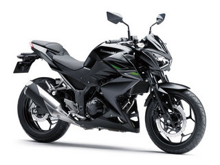 13ER250CDF_BLK-b.jpg
