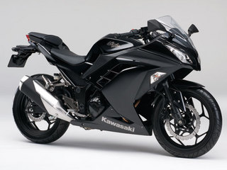 13EX250LDF_BLK-b.jpg