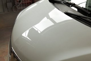 IMG_1569.jpg